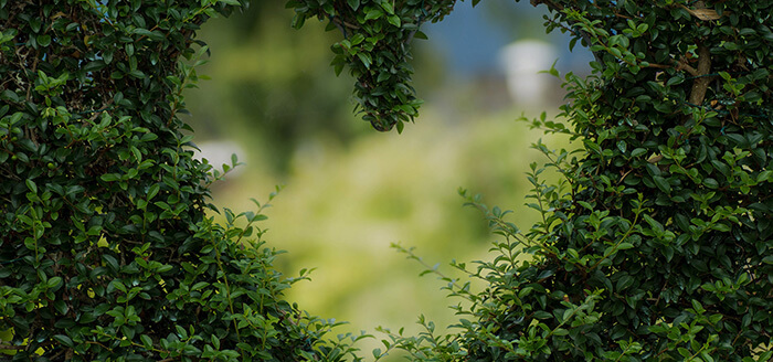 pic-blog-3