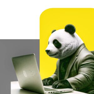 Best Web Design and Digital Marketing Agency in Abuja